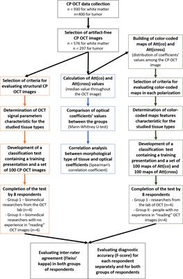 Nondestructive label-free detection of peritumoral white matter damage using cross-polarization optical coherence tomography